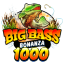 big-bass-bonanza-1000.it favicon